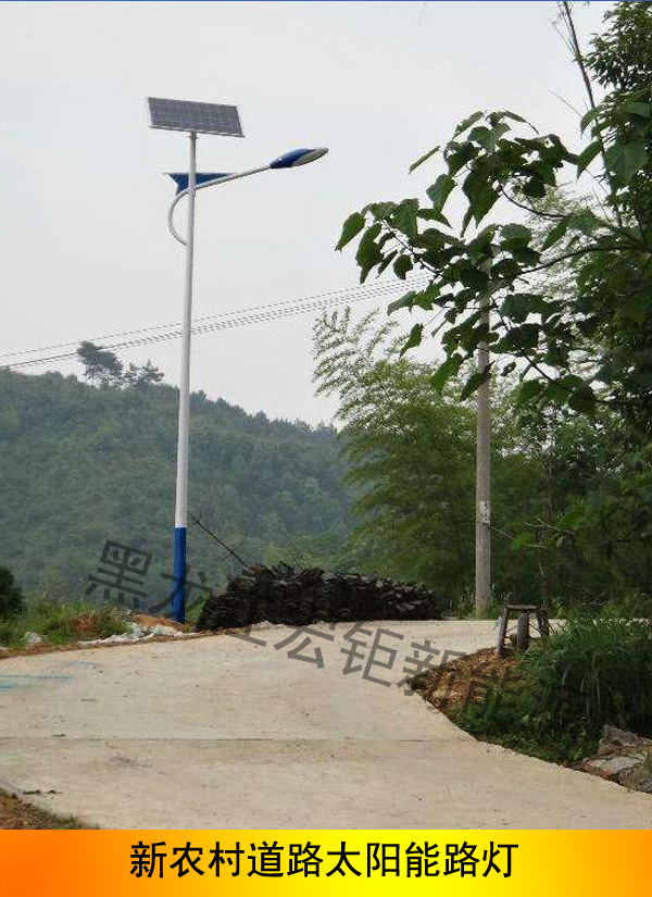 新農(nóng)村道路太陽能路燈5